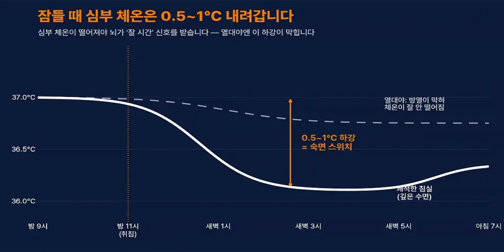 잠들 때 심부 체온이 0.5~1도 내려가는 수면 진입 과정 도해
